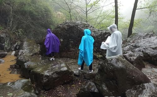 Cosowe Rain Ponchos Waterproof Adults, 2pcs Reusable Raincoats Portable, Family Pack Festival Plastic Coats for Women Men with Sleeves Hood, Purple — view 3