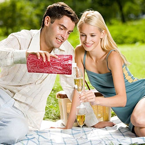 SENHAI Foldable Wine Bag, 750 ml, Portable Reusable Plastic Wine Bottle Pouch, 4 Pack Collapsible Liquid Leak Proof Flask Holder for Wine Liquor Beverages, Travel, Gift - Red — view 6