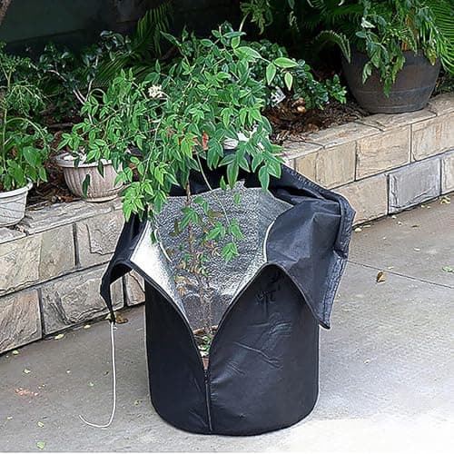 Mlllokfki Gardening Tools, Sustainable Home Practices, Healthy Meal Ideas, Travel Packing List, Budget Friendly Recipes, Quick Fitness Tips, Creative Writing Ideas for Potted Plants Shrubs — view 4