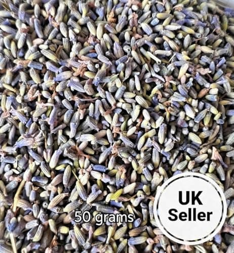 10 Aromatic French Lavender Bags Fresh Handmade Naturally Fragranced Moth Repellent, Sleep Aid, Vacuum Sealed for Freshness — view 5