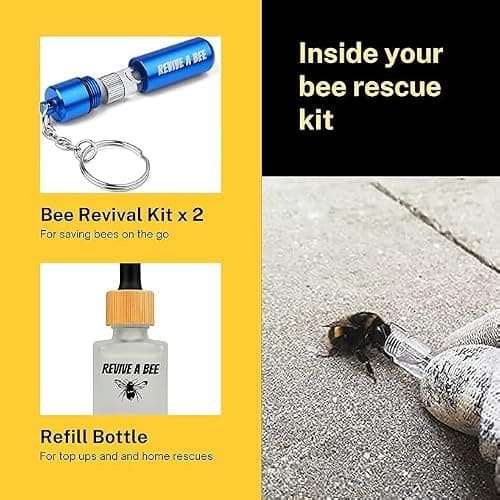 Revive a Bee Gift Box 2 x Bee Revival Kit Keyrings 1x Refill Bottle & Plantable Seed Paper (2 Rose Gold) — view 2