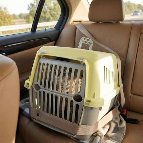 URBNLIVING Transportini Pet Carrier Travel Crate for Cats & Small Dogs | Portable Lightweight Cage with Ventilation | Pastel Design - Large - yellow — view 4