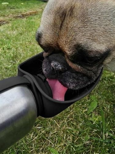 NKNova Stainless Steel Pet Water Bottle 800ml, Foldable Bowl, BPA Free, Leak Proof, Portable Dog Water Bottle for Walking, Hiking and Travel (black) — view 6