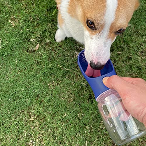 WePet Portable Dog Water Bottle, 350ml, Leak Proof Puppy Water Dispenser with Drinking Feeder for Pets Outdoor Walking, Hiking, Travel, Food Grade Plastic — view 2