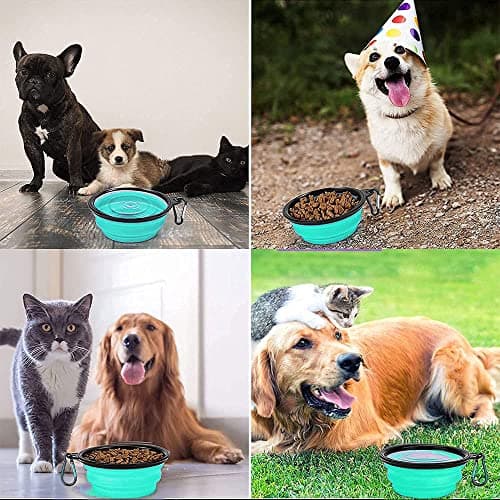 Collapsible Dog Bowl,Collapsible Dog Water Bowls for Cats Dogs, Portable Pet Feeding Watering Dish,Portable Dog Water Food Bowl with Carabiner (Small(350ML), light green) — view 6