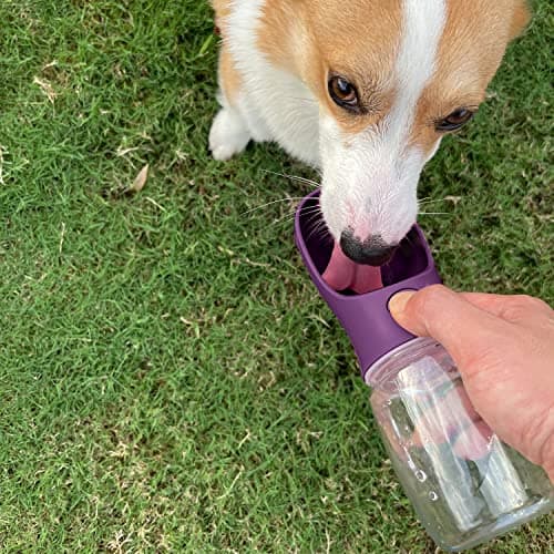 WePet Portable Dog Water Bottle, 350ml, Leak Proof Puppy Water Dispenser with Drinking Feeder for Pets Outdoor Walking, Hiking, Travel, Food Grade Plastic — view 2