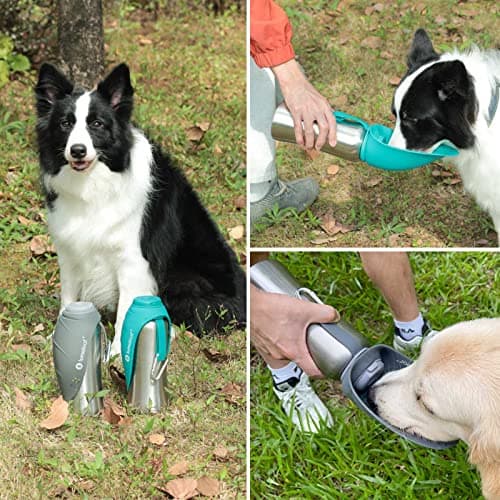 LumoLeaf Portable Dog Water Bottles 800ml, Stainless Steel Pet Travel Water Bottle Dispenser for Walking, Hiking and Outdoor, Portable Water Bowl for Large Dogs (Green) — view 2