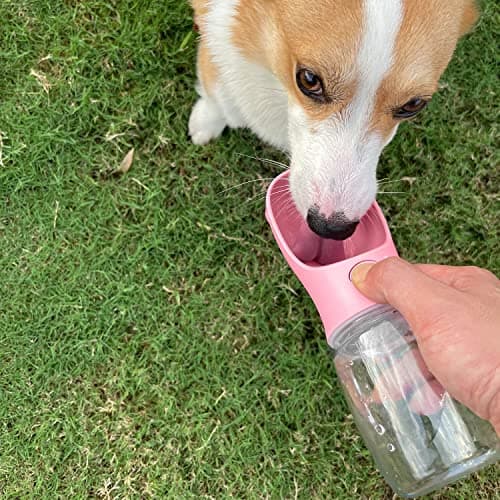 WePet Portable Dog Water Bottle, 350ml, Leak Proof Puppy Water Dispenser with Drinking Feeder for Pets Outdoor Walking, Hiking, Travel, Food Grade Plastic — view 2