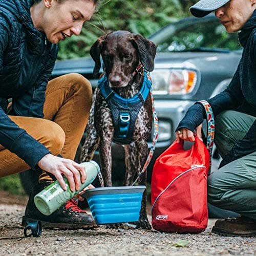 Kurgo Kibble Carrier, 5lb, Chili Red — view 6
