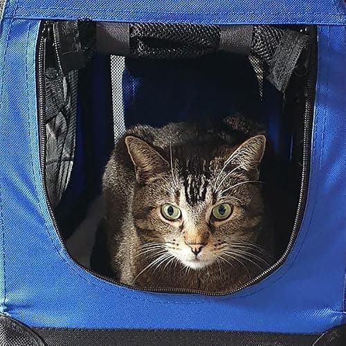 HugglePets Foldable Fabric Pet Crate Carrier - Pink (Medium 60 x 42cm) Lightweight & Ventilated Double Door Carrier for Dogs & Cats with Sheepskin Mat. Ideal for Home & Travel. — view 5