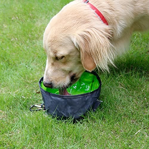 MABAHON 2Pcs Collapsible Dog Travel Bowls Portable Nylon With Clean Cloth — view 5