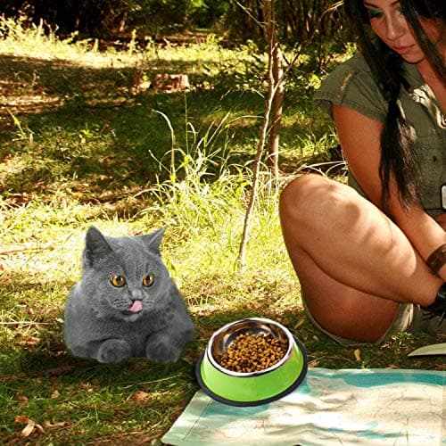 3 Pieces Cat Bowl Stainless Steel Non-Slip and Leak-Proof Cat Food Bowl,Feeding Bowls For Cats， Cat Water Bowl, Multifunctional Pet Food Bowl, Color Food Grade Travel Stainless Steel Food Bowl Cat — view 6
