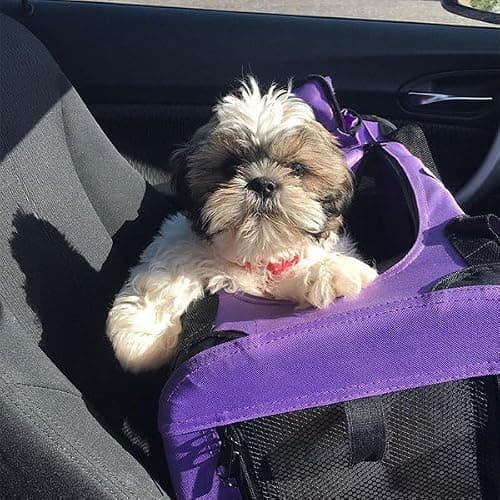 HugglePets Foldable Fabric Pet Crate Carrier - Black (Small 50 x 34cm) Lightweight & Ventilated Double Door Carrier for Dogs & Cats with Sheepskin Mat. Ideal for Home & Travel. — view 6
