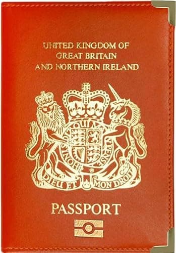 AlezyB - British Passport Holder, Portable Wallet Case Organiser Passport Wallet for Men, Women, PU Leather Cover for Travel, Business Cards, Credit Cards and Boarding Passes (Orange)