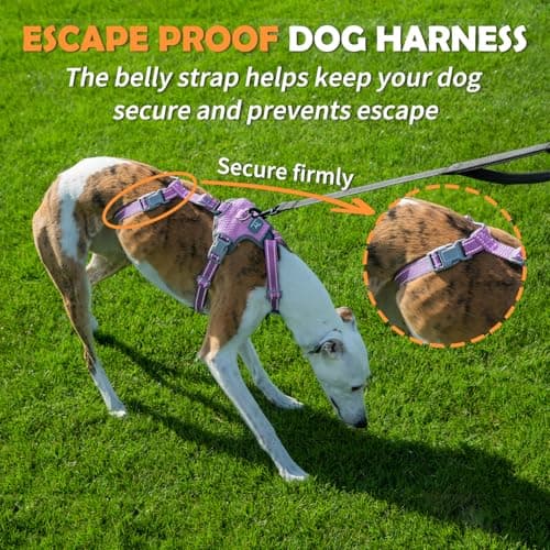 Huntboo Escape Proof Dog Harness Medium, No Pull dog harness — view 3