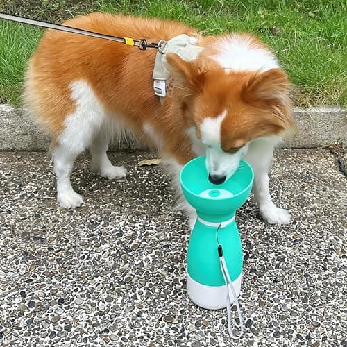 Shiergongli 2-in-1 Foldable Dog Water Bottle & Food Container – 600ml Portable Pet Dispenser with Bowl & Leakproof Valve, BPA-Free Travel Feeder for Puppy, Cat, Small Pets (Green, 600ml+260ml) — view 6