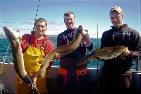 Private Trip: Connemara Deep Sea Angling Day Trip from Cleggan