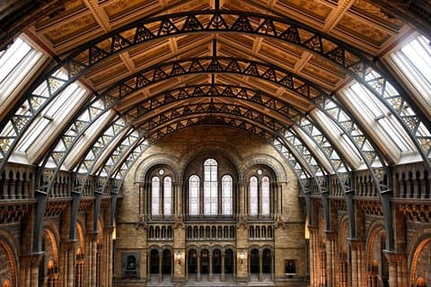 Natural History Museum London - Exclusive Guided Museum Tour