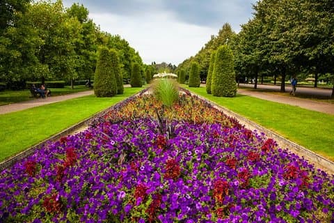 Private Tour: London Regent's Park Photography Tour