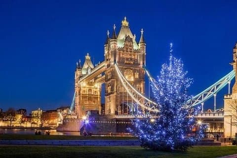 London Christmas Private Guided Tour