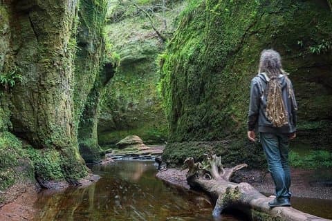 Find a hidden Glen in Scotland's woods