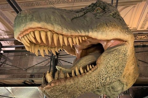 Mamma Mia! Discover the Dinosaurs at London Natural History Museum Tour for Kids