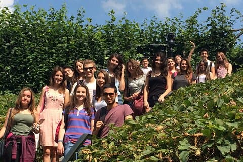 English + Medicine University Taster One Week Program in London