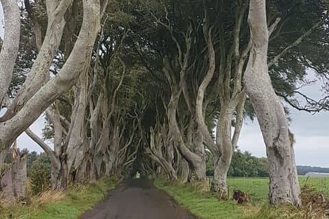 Private Antrim Coast Tour: Giants Causeway and Game of Thrones