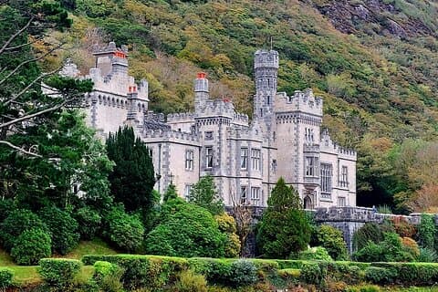Connemara Sheep Farm experience & Kylemore Private Guide Tour