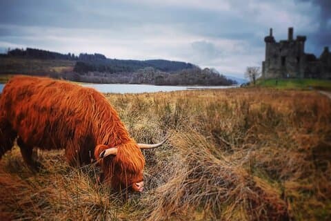 Full Day Private Tour in West Highlands, Oban and Glencoe