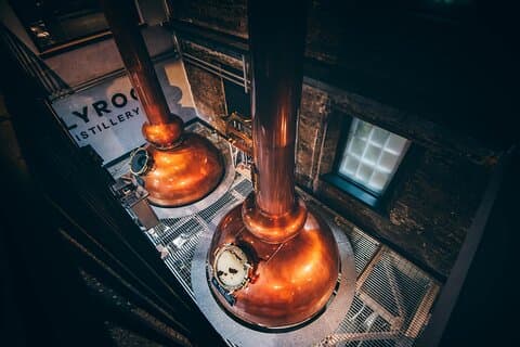 Edinburgh: Holyrood Distillery Whisky and Gin Tour & Tasting