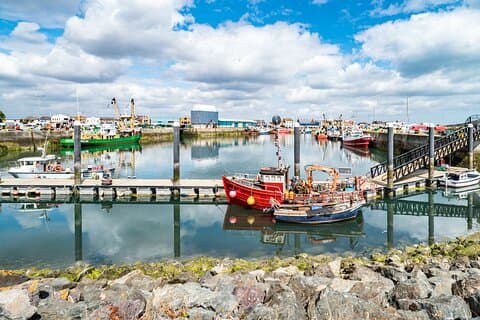 Dublin Great Famine Tour with Fast-Track EPIC Museum Tickets