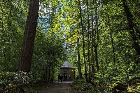 Scone Palace, Nature, Pitlochry, Whisky Experience from Edinburgh