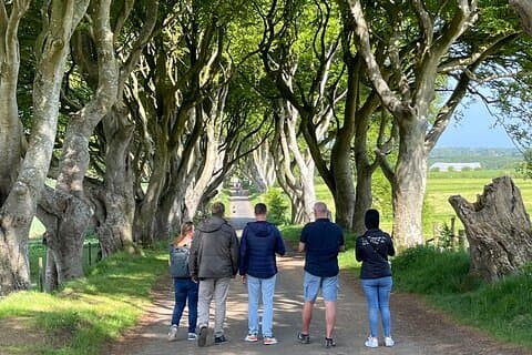 Luxury Tour of Giants Causeway from Belfast