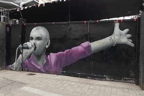 Guided Tour of Dublin in French