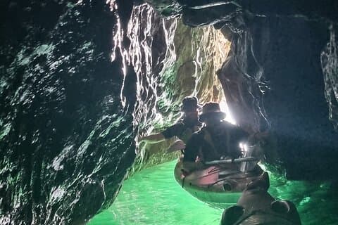 Wildlife, Sea Cave and Bushcraft Kayak Safari in English Riviera