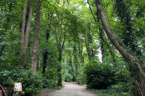 Family Adventure Quest Treasure Hunt at Fota Island Resort