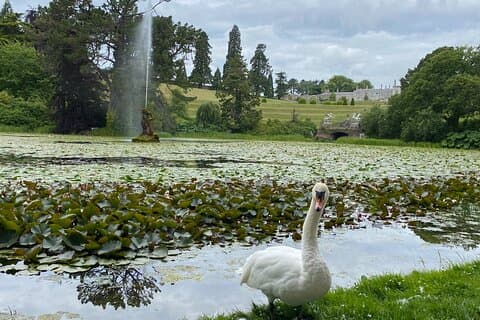 Wicklow Garden Tour: Ireland’s Most Stunning Gardens & Flavours