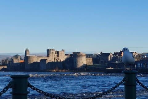 Cliffs of Moher, Bunratty Castle & Limerick – Private Tour