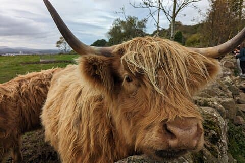 Private Tour of Scottish Highlands, Loch Lomond, Doune Castle