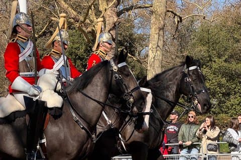 Westminster Private Tour and Changing of the Guard