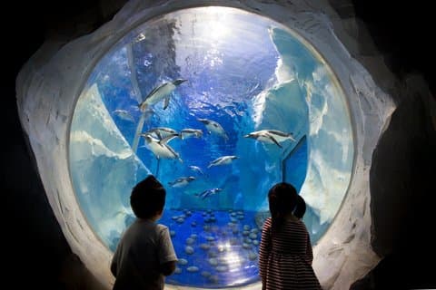 Combo Ticket Sea Life and Legoland Discovery Centre Birmingham
