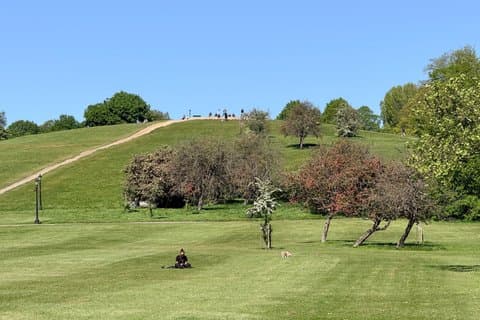 London - Camden: Regent’s Park and Primrose Hill Walking Tour