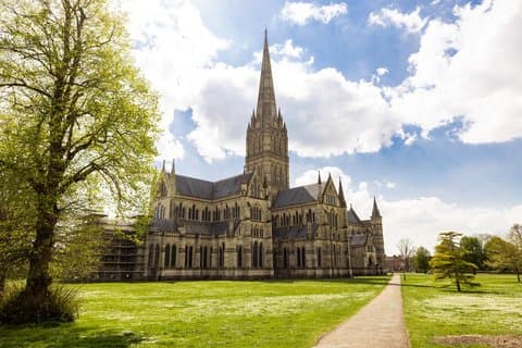 New Forest & Salisbury Cathedral Private Tour