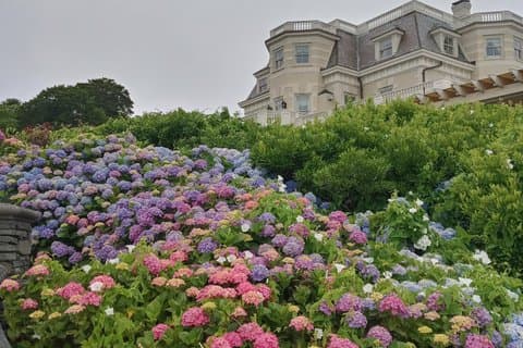 Historic Highlights Featuring Gilded Age Tour