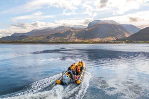 1 Hour Loch Safari Tour in Fort William