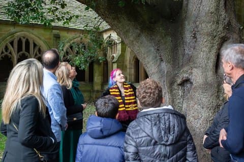Harry Potter Walking Tour with Hogwarts Film Site Visits (Oxford)
