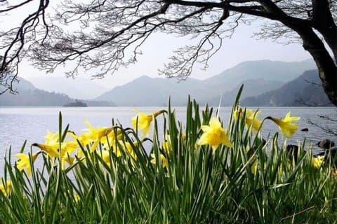 Ten Lakes Tour and Ullswater Cruise Experience