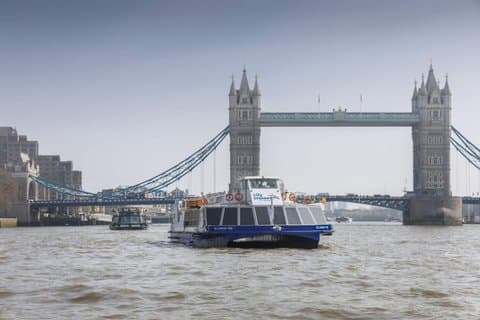 Thames River Sightseeing Cruise in London