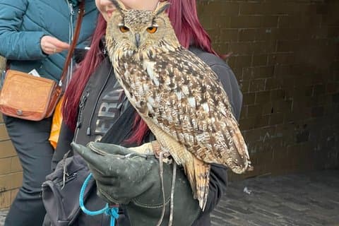 JK Rowling's Harry Potter Walking Tour in Edinburgh
